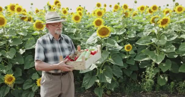 Fazendeiro feliz segura caixa com legumes e sorri para a câmera no campo de girassol — Vídeo de Stock