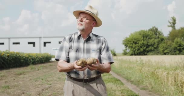 Jordbrukare med glasögon i hatt ser på solen och beundrar potatis i händerna på fältet — Stockvideo