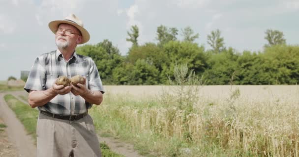 Glad bonde med glasögon i hatt tittar på himlen och beundrar potatis i händerna — Stockvideo