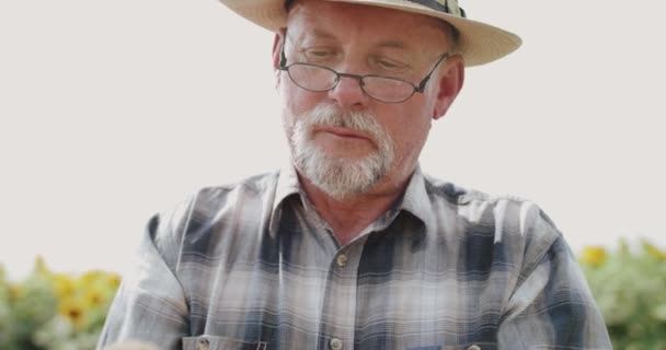 Heureux agriculteur mature avec des lunettes dans le chapeau admire une bonne récolte de pommes de terre dans les mains — Video