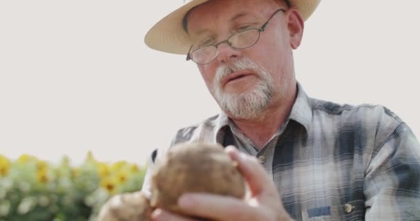 Portrait of happy mature farmer admires a good potato harvest in hands in field — Stock Video