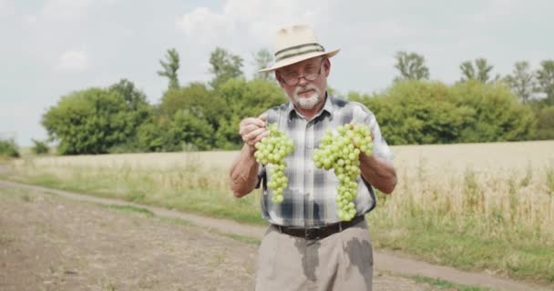 De boer met hoed en bril houdt takken van druiven vast, kijkt naar de hemel en glimlacht — Stockvideo