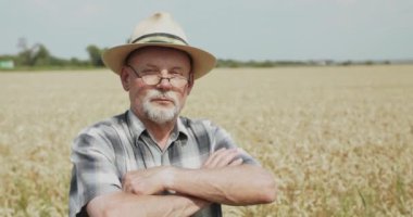 Şapkalı ve gözlüklü çiftçi çapraz elli buğday tarlasında kameraya bakıyor.