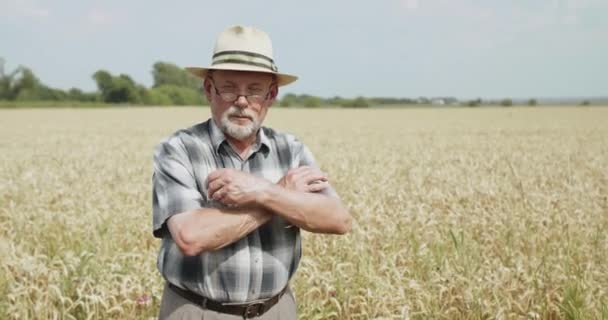 Πορτρέτο του ευτυχισμένη ανώτερος γεωργός και γυαλιά με σταυρωμένα χέρια κοιτάζει κάμερα — Αρχείο Βίντεο