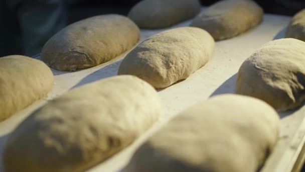 Bliski widok przygotowywania i tłoczenia organicznych chlebów żytnich na kwasie do pieczenia — Wideo stockowe
