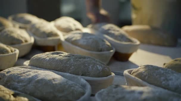 Vista cercana de panaderos manos tirar pan recién tostado de platos orgánicos — Vídeo de stock
