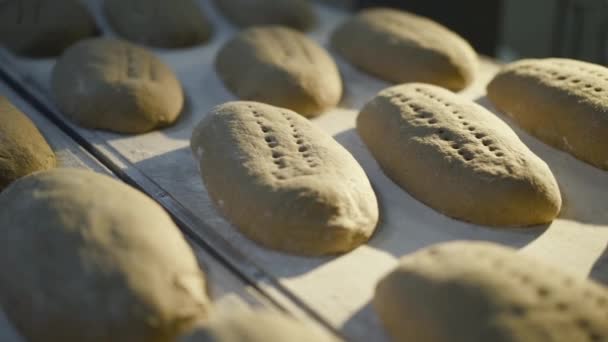 Vista de cerca de hacer el proceso de pan por panadero en una fábrica de panadería — Vídeos de Stock
