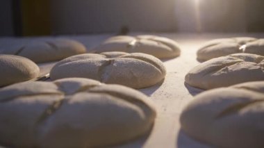 Bir masada taze pişmiş organik ekmek somunlarının hareketli manzarası