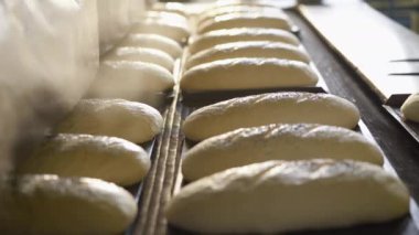 Fırıncı profesyonel fırında pişirmeden önce somun ekmek hazırlıyor.