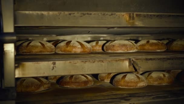 Blick auf Regale mit vielen frisch gebackenen Broten in einer Fabrik — Stockvideo