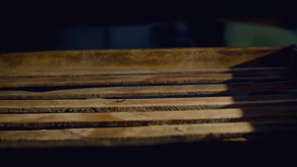 Dicht zicht op het lossen van vers gebakken brood uit de oven op planken in de fabriek — Stockvideo