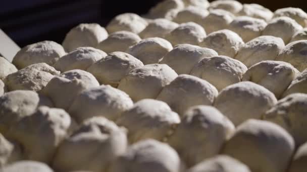 Gezicht op gevormde rauw deeg voor het bakken van donuts op een dienblad in de fabriek — Stockvideo