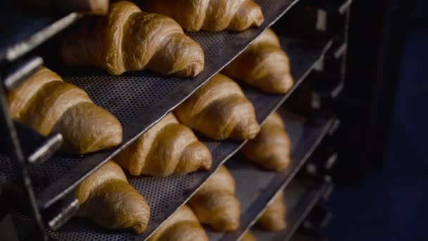 Utsikt över tallrikshängare med nybakade croissanter i bageri — Stockvideo