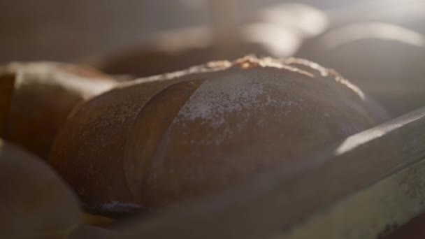 Fechar a vista da bandeja com pão de centeio fresco com farelo de cereais — Vídeo de Stock