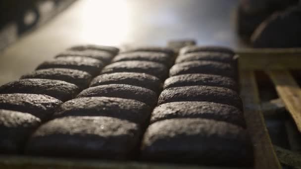 Verse broden roggebrood na het bakken in een professionele oven op een dienblad leggen — Stockvideo