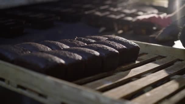 Bakkers handen zetten verse broden roggebrood op dienblad na het bakken in de fabriek — Stockvideo