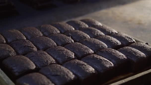 Widok tacy ze świeżo upieczonymi bochenkami chleba żytniego w piekarni — Wideo stockowe