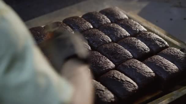 Proceso de engrasar los panes de centeno y rociarlos con semillas en la panadería — Vídeo de stock