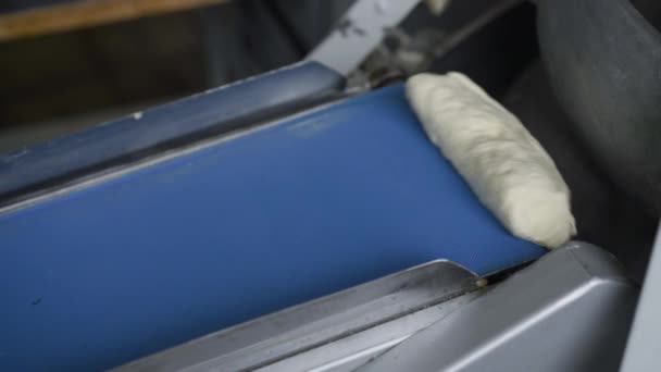 컨베이어를 갖춘 자동 기계로 밀 빵을 만드는 과정 — 비디오