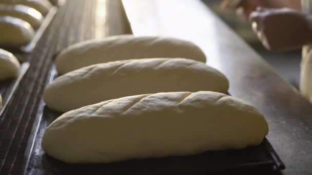 在工厂准备面包放在烤箱里烘烤 — 图库视频影像
