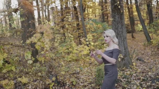 Svůdné blondýny v šatech s dává na sluneční brýle s úsměvem v podzimním parku — Stock video