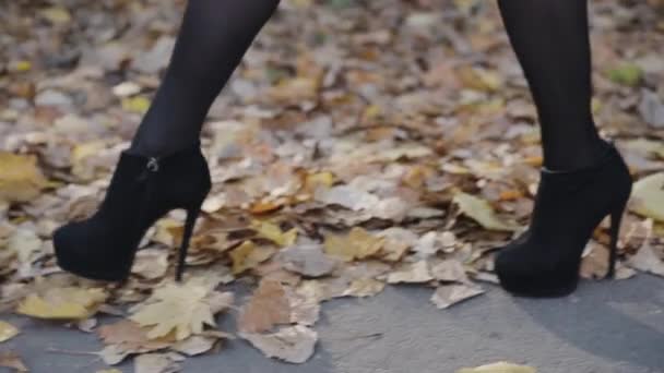 Frauenbeine in schwarzen Schuhen, die mit Laub bedeckt auf der Straße gehen — Stockvideo