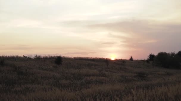 Blick auf den wunderschönen Sonnenuntergang in wilder Natur mit Grünflächen — Stockvideo