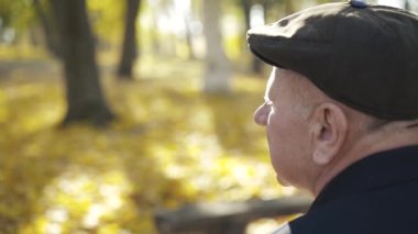 Kıdemli bir adamın park bankında dinlenip dik dik baktığı arka profil.