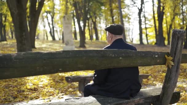 Baksidan av senior man vilar på en parkbänk och beundrar höstens skönhet — Stockvideo
