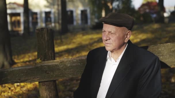 Portrét staršího muže odpočívajícího na lavičce v parku a obdivujícího krásu podzimu — Stock video