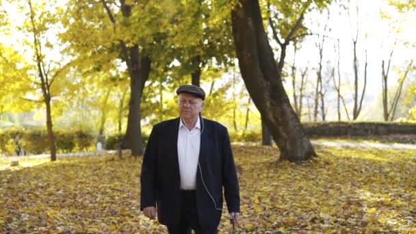 Hombre mayor alegre caminando en el parque de otoño y hablando por teléfono a través de auriculares — Vídeos de Stock