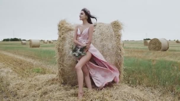 Vista seducente di elegante signora posa a pagliaio in campo durante forte vento — Video Stock