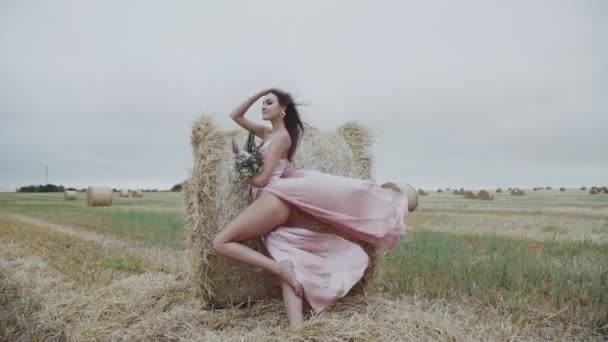 Senhora elegante no vestido soprando poses sedutoramente no palheiro no campo ventoso — Vídeo de Stock