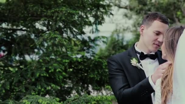 Gyönyörű esküvői pár csók — Stock videók