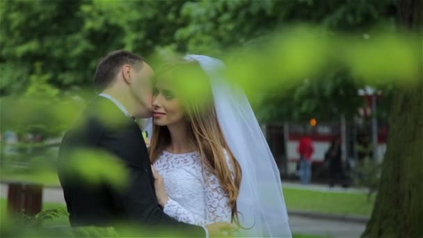 Прекрасная и романтичная свадебная пара — стоковое видео