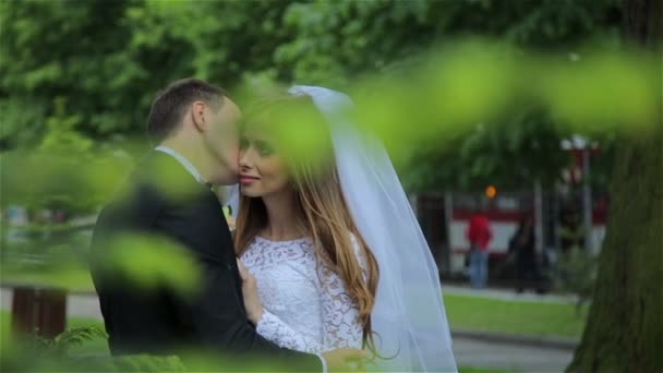 Ein wunderbares und romantisches Hochzeitspaar — Stockvideo