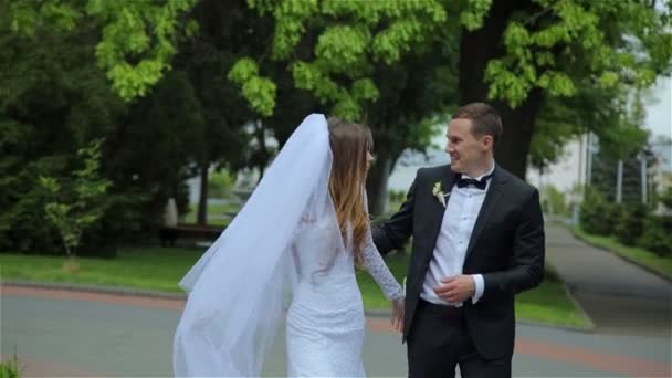 Schönes Hochzeitspaar im Park — Stockvideo