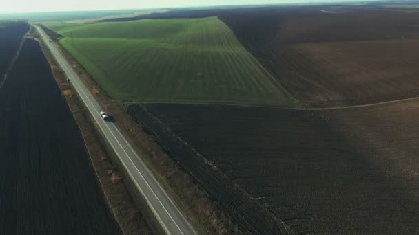 Aerial view of the road and a beautiful field of wheat — Stock Video