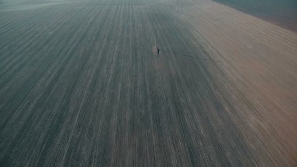 Letecký pohled na polí a elektrické vedení — Stock video