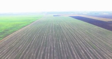 Kırsal Köyü ve alanlar outumn 4k bitkileri ile havadan görünümü