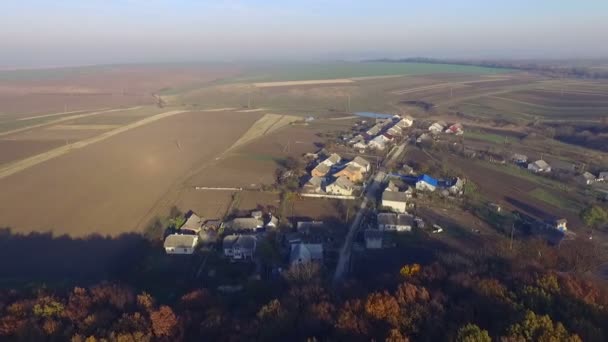 Luchtfoto van de kleine huizen en velden van tarwe — Stockvideo