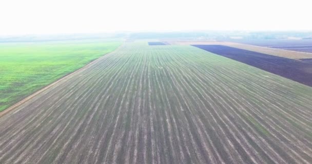 Вид с воздуха на сельскую местность с деревней и полями сельскохозяйственных культур осенью 4k — стоковое видео