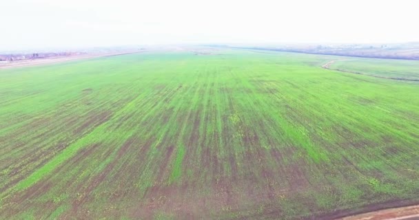 Outumn 4 k 作物の畑と田舎の空撮 — ストック動画