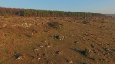 Çayır ve orman havadan görünümü