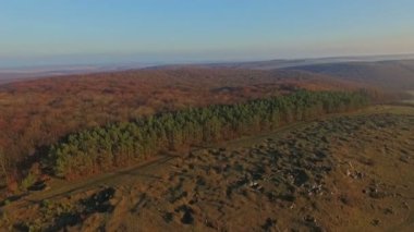 Havadan görünümü orman. Karpat Ukrayna