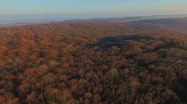 Gün batımında sonbahar ormanın havadan görünümü