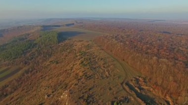 Ormanın havadan görünümü ve yandı