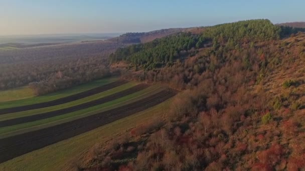 Letecký pohled na podzimní pole a Les — Stock video