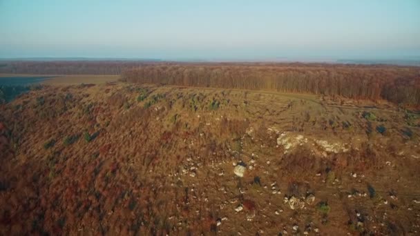 Вид з повітря на осінній ліс на заході сонця — стокове відео