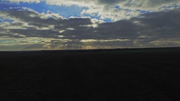 Antenne: De vlucht over een veld bij zonsondergang — Stockvideo